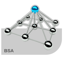 Medley BSA